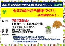 セミのぬけがら標本づくり