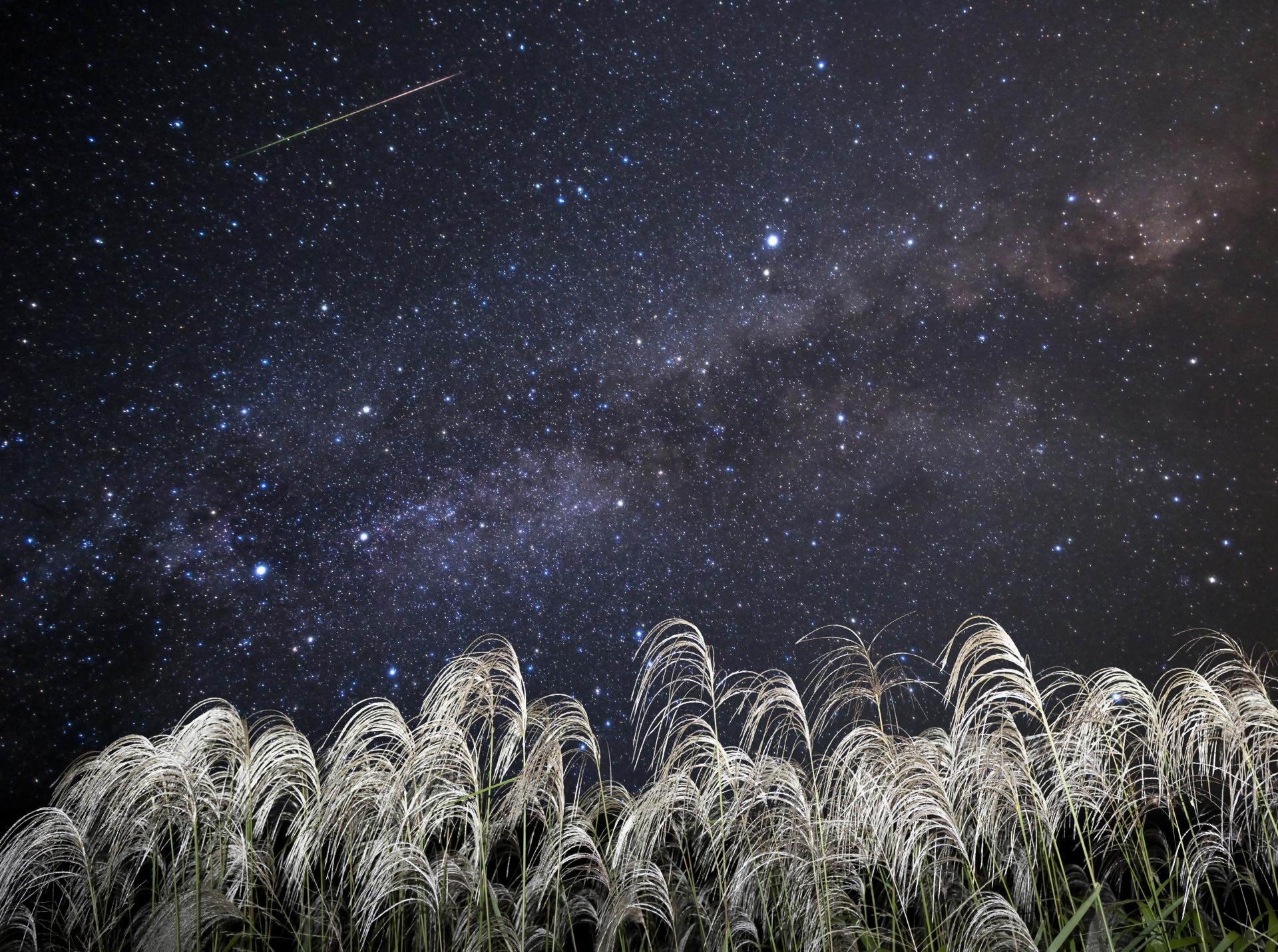 ものっそ星空☆ミニ～秋の星座たち～